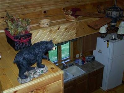 Bear Grove Cabins - Mulberry Grove, IL
