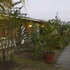 Bamboo Walk Hotel