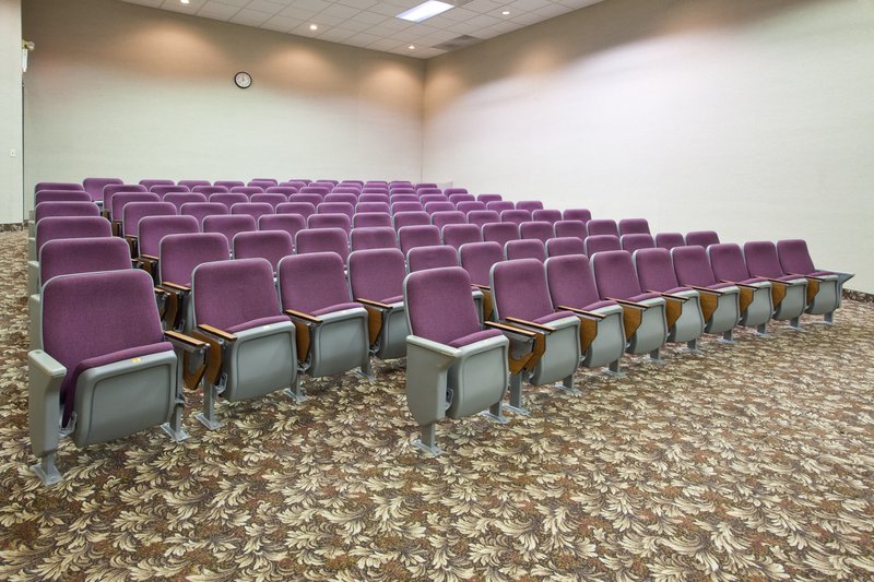 Holiday Inn BIG RAPIDS - Big Rapids, MI
