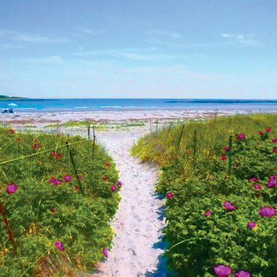 Tides Inn By The Sea - Kennebunkport, ME