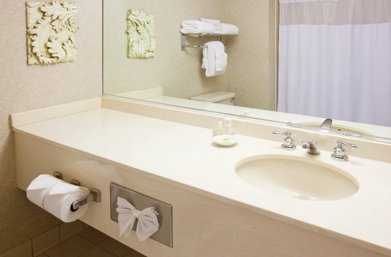 Holiday Inn MINNEAPOLIS AIRPORT SE - EAGAN - Saint Paul, MN