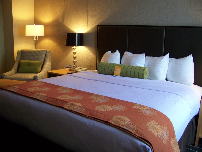 Holiday Inn PORTLAND- I-5 S (WILSONVILLE) - Wilsonville, OR