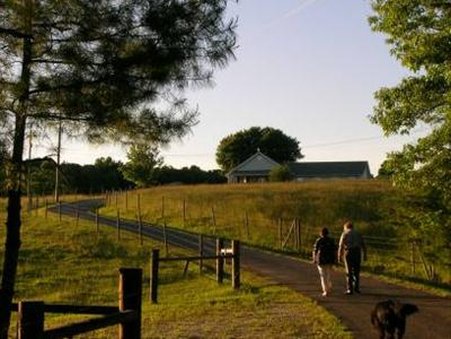 Wolf Creek Farm - Ararat, VA