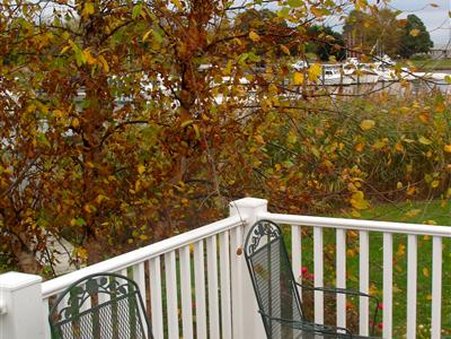 Lazyjack Inn - Tilghman, MD