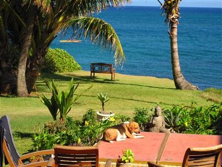 Spyglass House Oceanfront - Paia, HI