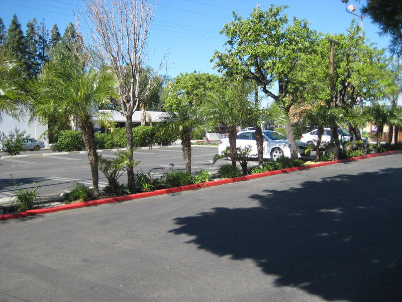 Holiday Inn Express VAN NUYS - Van Nuys, CA