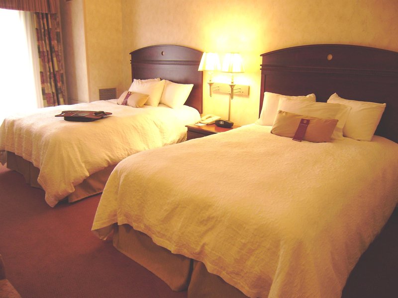 Hampton Inn Owego - Owego, NY