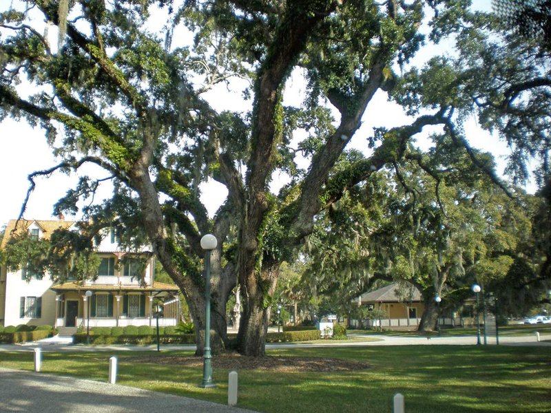 Embassy Suites By Hilton Brunswick - Brunswick, GA