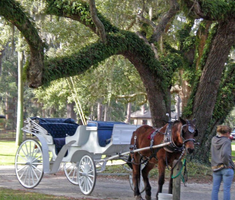 Embassy Suites By Hilton Brunswick - Brunswick, GA
