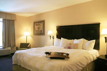 Hampton Inn Ciudad Juarez - Room