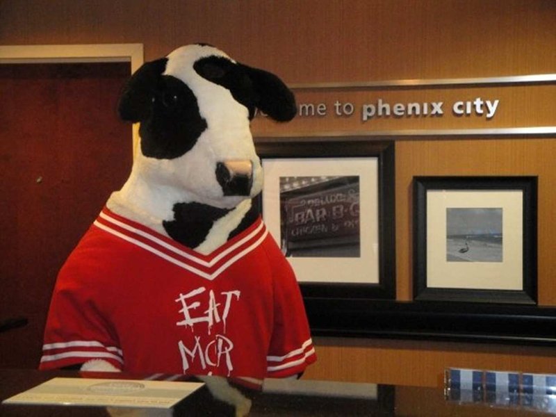 Hampton Inn & Suites Phenix City-Columbus Area - Phenix City, AL
