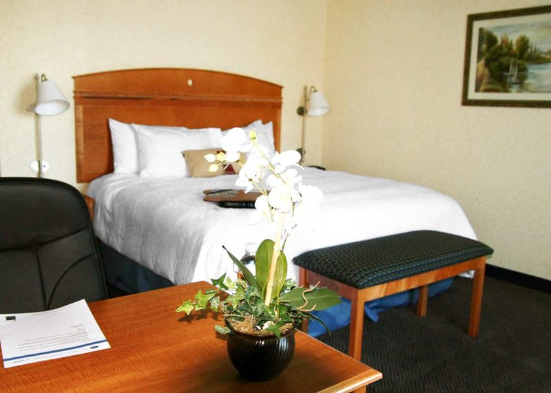 Hampton Inn-dallas