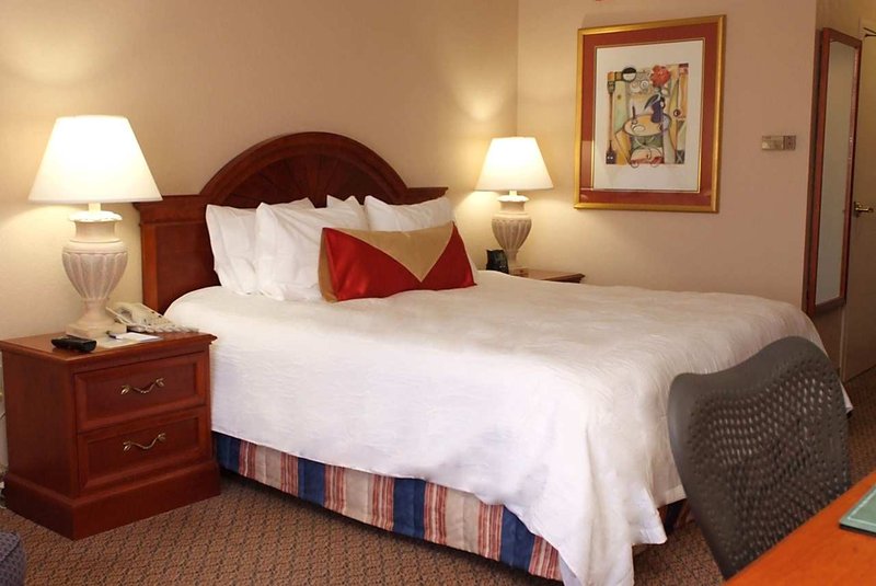 Hilton Garden Inn Detroit Metro Airport - Romulus, MI