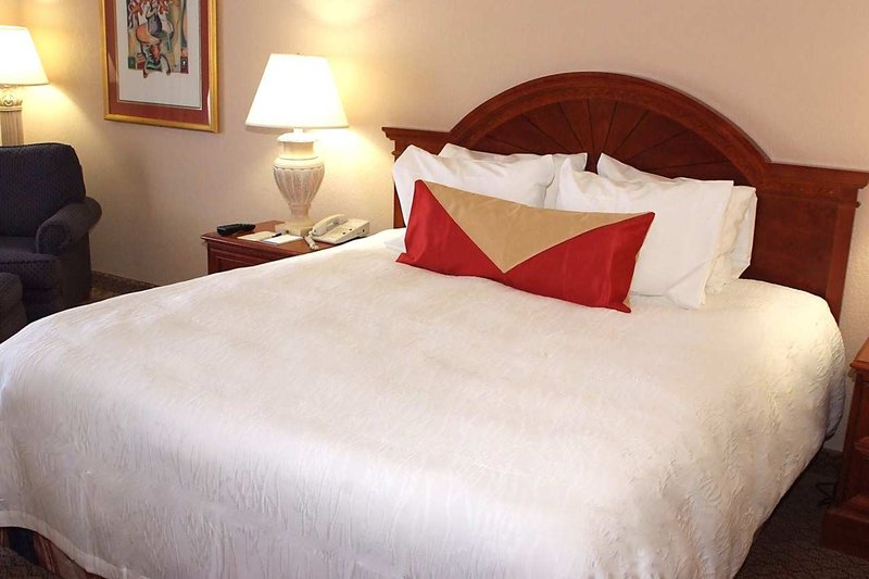 Hilton Garden Inn Detroit Metro Airport - Romulus, MI