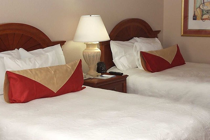 Hilton Garden Inn Detroit Metro Airport - Romulus, MI