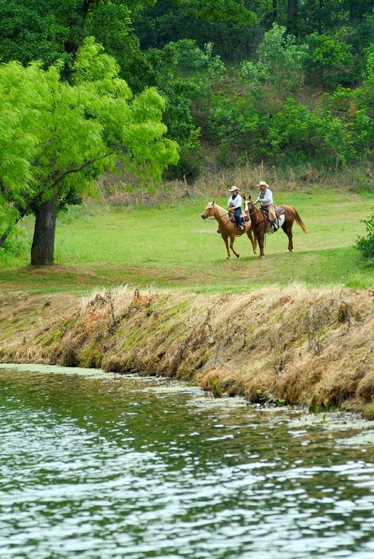 Hilton DFW Lakes Executive Conference Center - Grapevine, TX