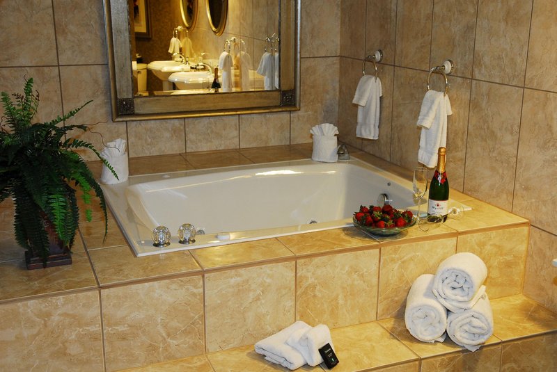 Embassy Suites by Hilton Detroit-Livonia-Novi - Livonia, MI