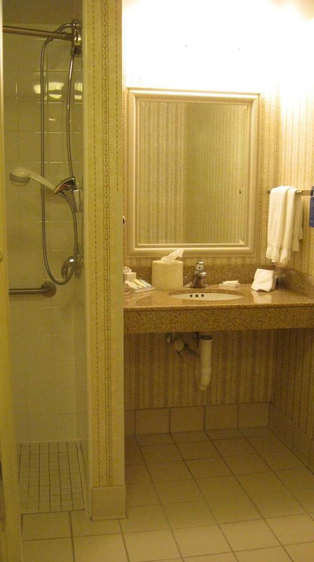 Hilton Garden Inn Elmira/Corning - Horseheads, NY