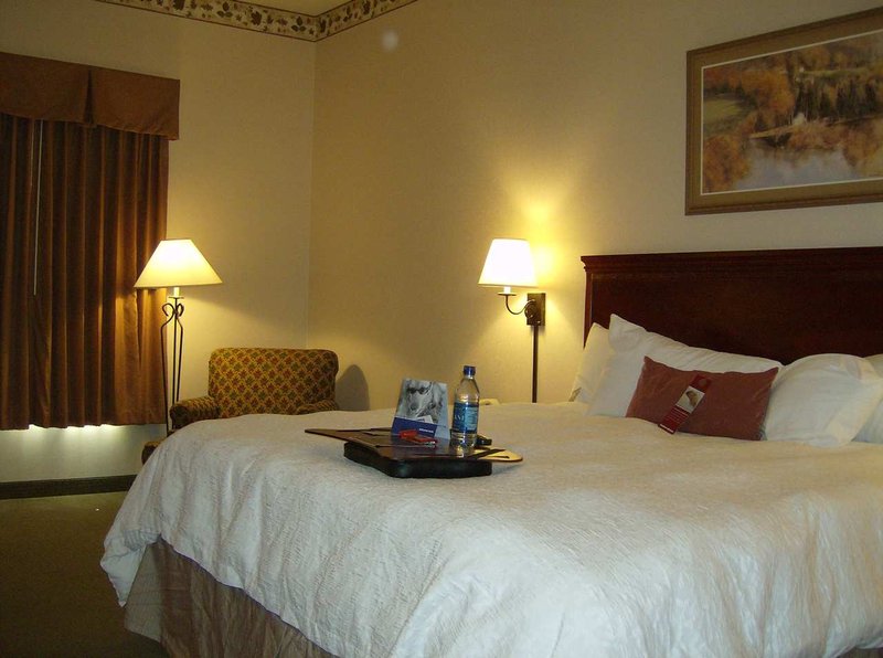 Hampton Inn-Great Falls - Great Falls, MT