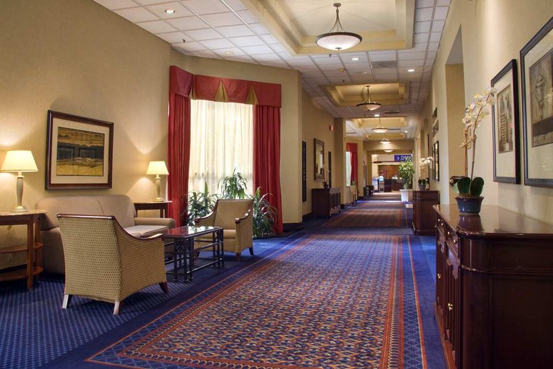 Hilton Durham near Duke University - Durham, NC