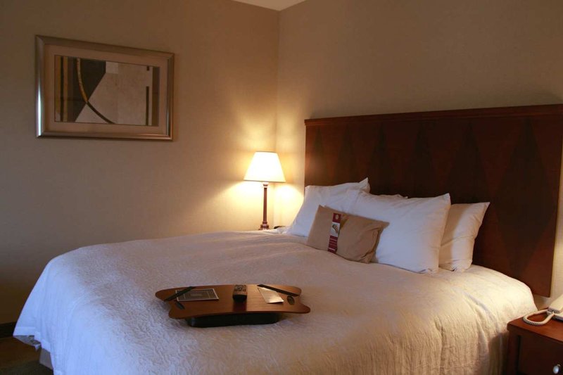 Hampton Inn Sayre - Sayre, PA