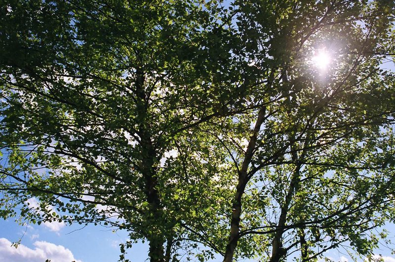 Hampton Inn Staunton - Staunton, VA