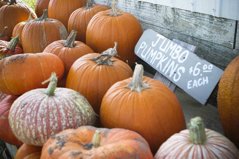 Hampton Inn-Sidney - Sidney, OH