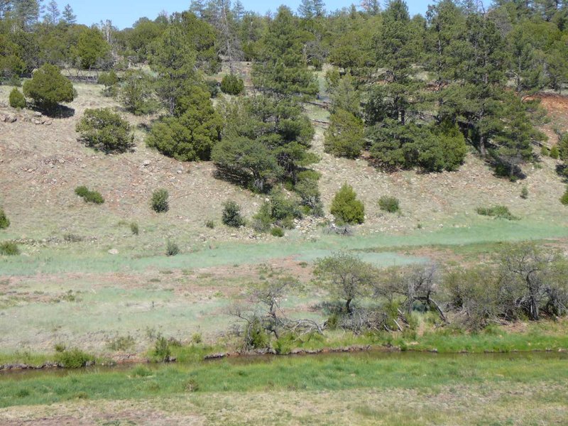 Hampton Inn & Suites Show Low-Pinetop - Show Low, AZ