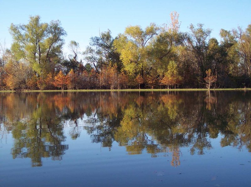 Hampton Inn - Searcy, AR