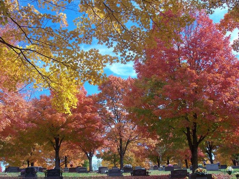 Hampton Inn - Searcy, AR