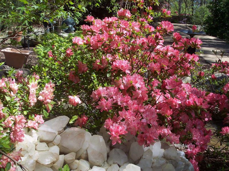 Hampton Inn - Searcy, AR