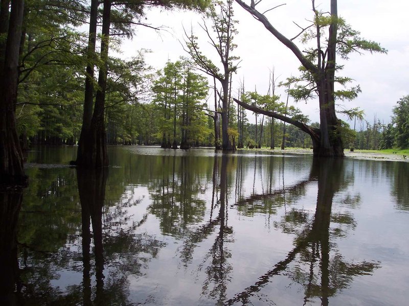Hampton Inn - Searcy, AR