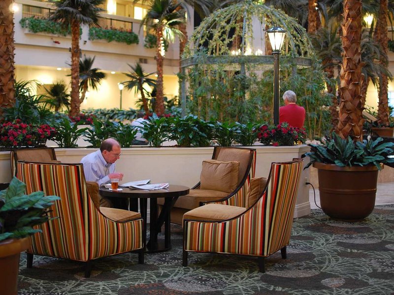 Elegant Embassy Suites Las Vegas 4315 Swenson Photosnull