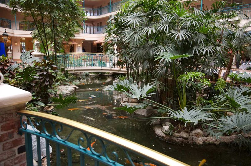 Embassy Suites By Hilton Anaheim North - Anaheim, CA
