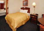 Econo Lodge North, Rocky Mount