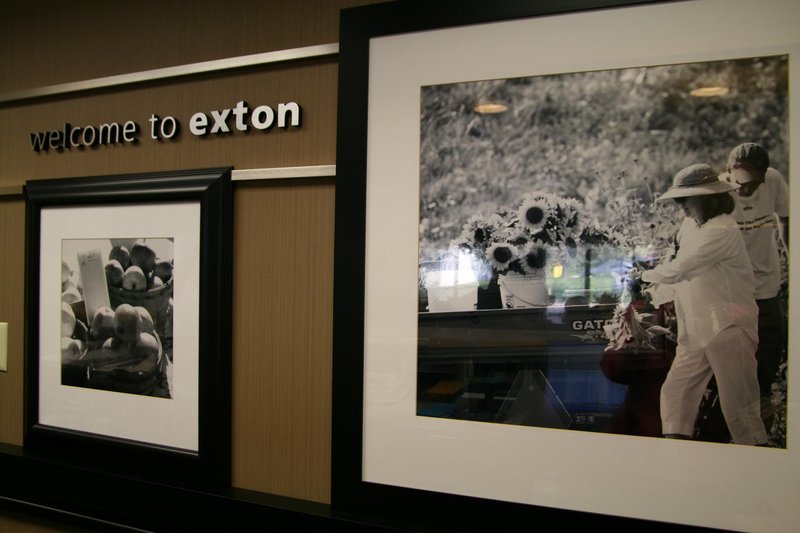 Hampton Inn Downington/Exton - Exton, PA