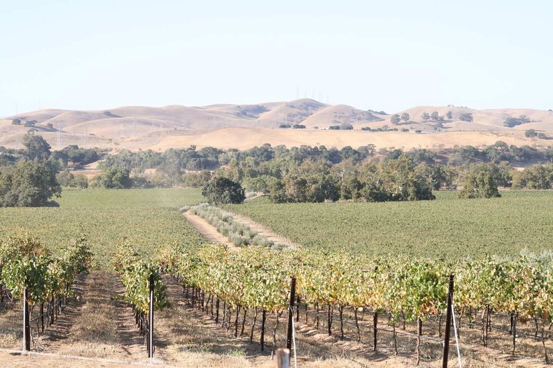 Hampton Inn-Livermore - Livermore, CA