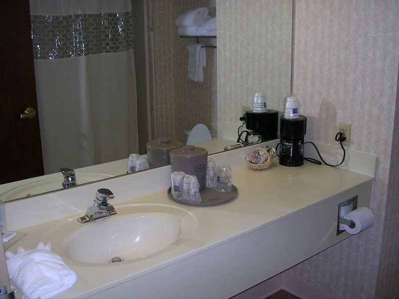 Hampton Inn Birch Run/Frankenmuth - Birch Run, MI