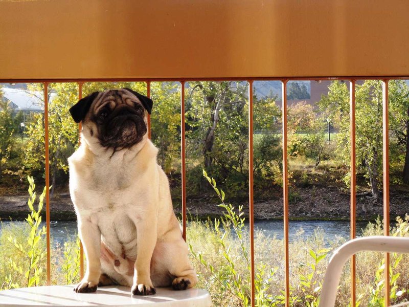 Doubletree By Hilton Hotel Missoula-Edgewater - Missoula, MT