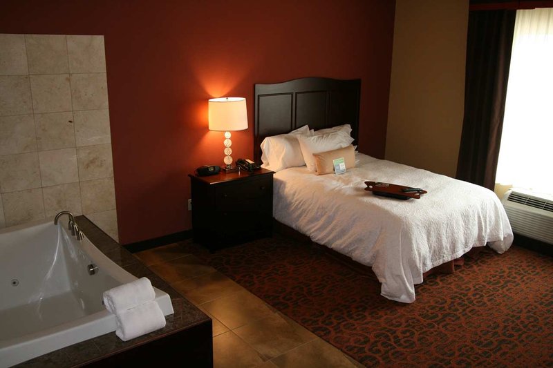 Hampton Inn & Suites Mission - Mission, TX