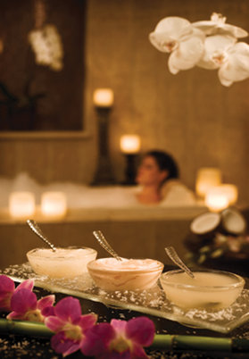 RITZ-CARLTON - Key Biscayne, FL