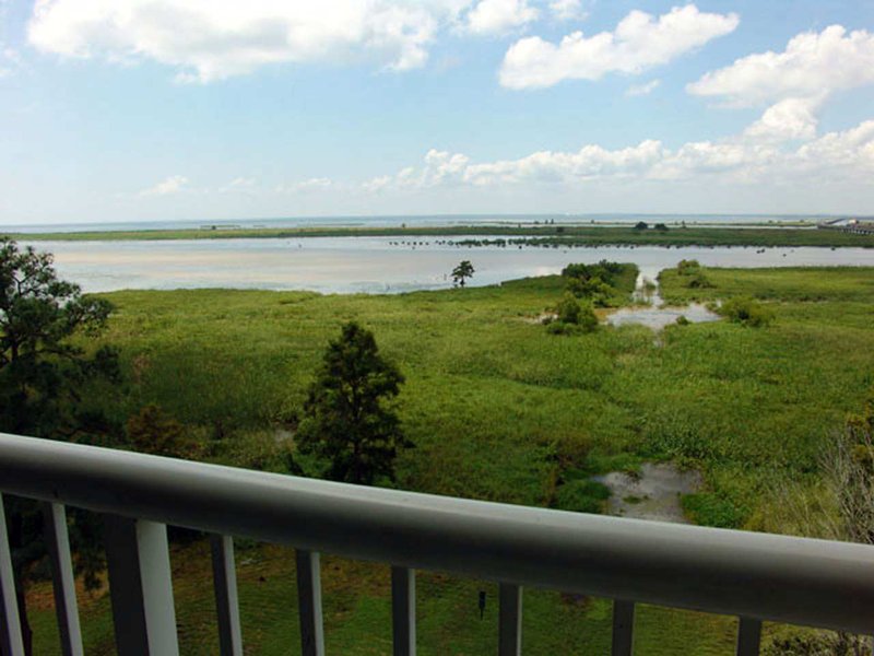 Hampton Inn Mobile-East Bay/Daphne - Daphne, AL