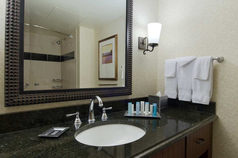 Hilton Minneapolis - Minneapolis, MN