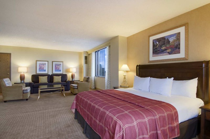 Hilton Minneapolis - Minneapolis, MN