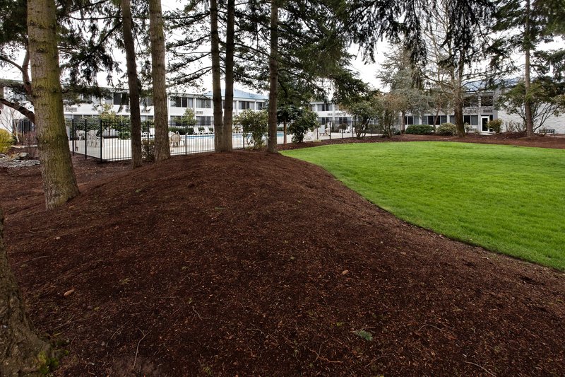 Holiday Inn - Issaquah, WA
