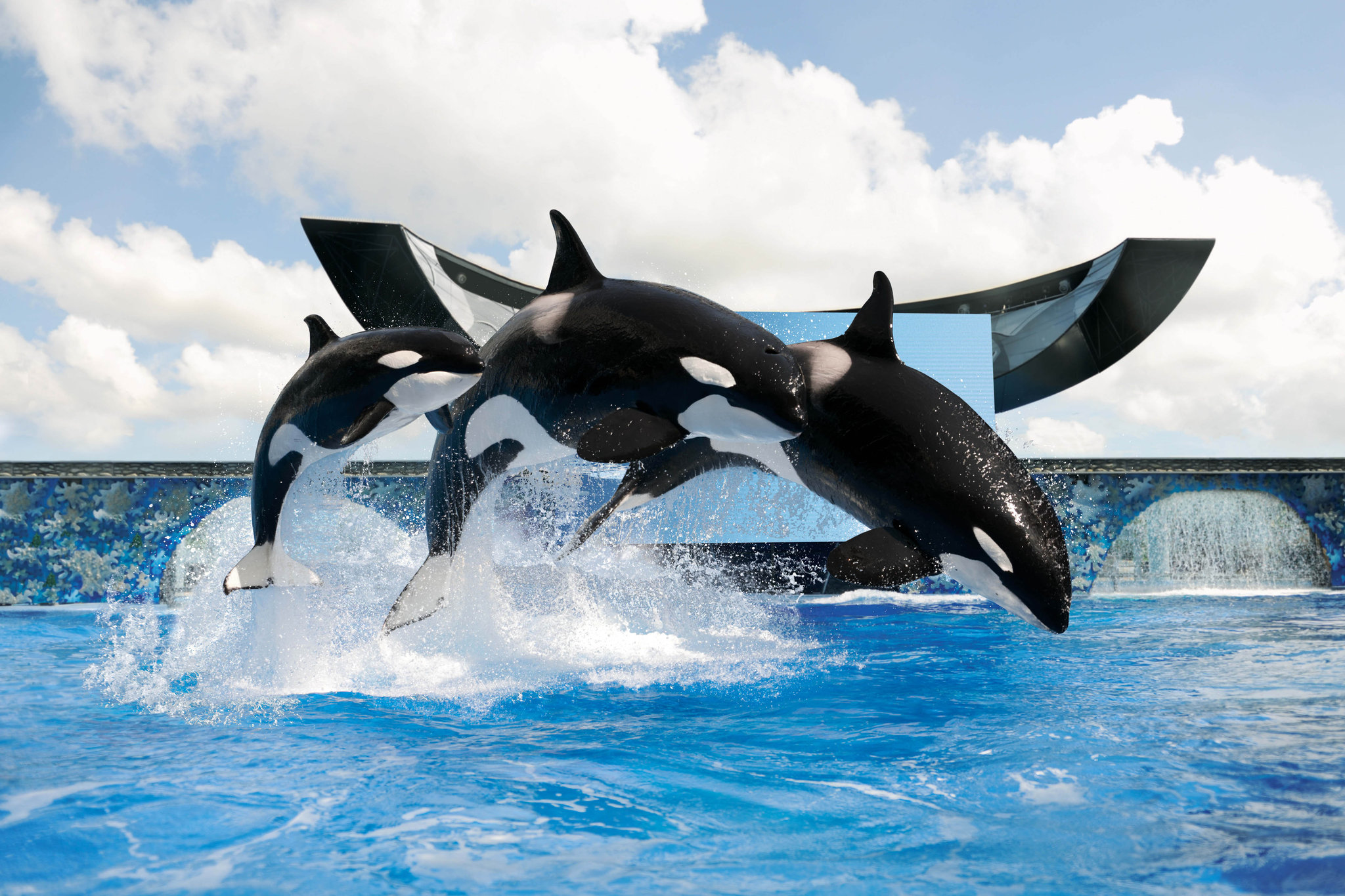 Seaworld San Antonio Hotel Deals Seaworld San Antonio Hotel Deals