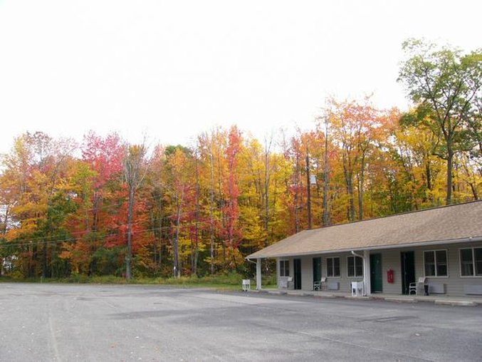 Gravity Inn Motel - Waymart, PA