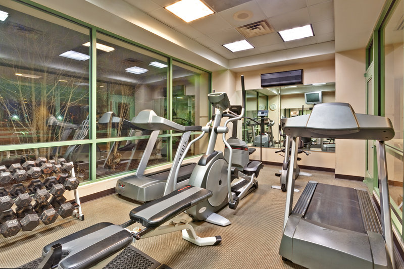 Holiday Inn CHICAGO OAKBROOK - Villa Park, IL
