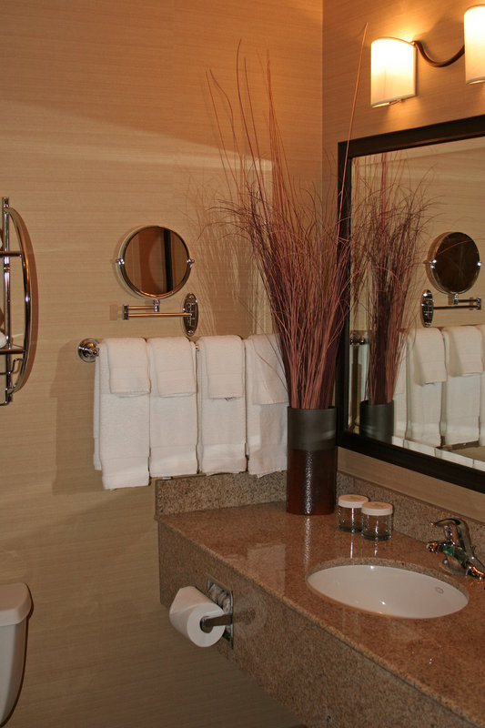 Holiday Inn DENVER-PARKER-E470/PARKER RD - Parker, CO
