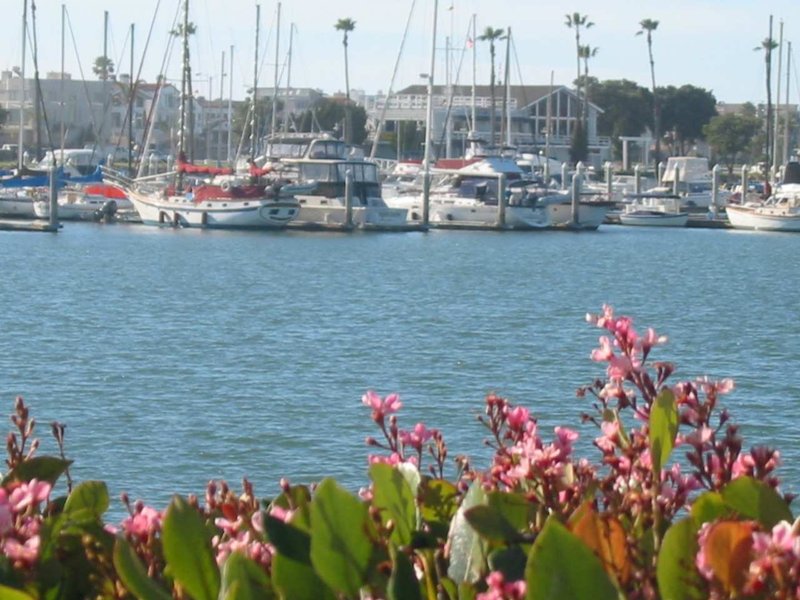 Hampton Inn Channel Islands Harbor - Oxnard, CA
